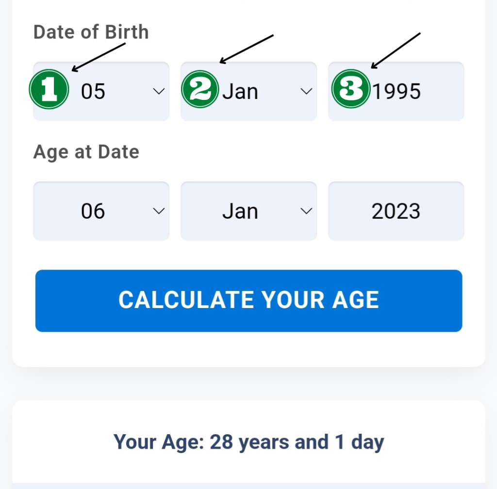 Best Pearson chronological age calculator online 